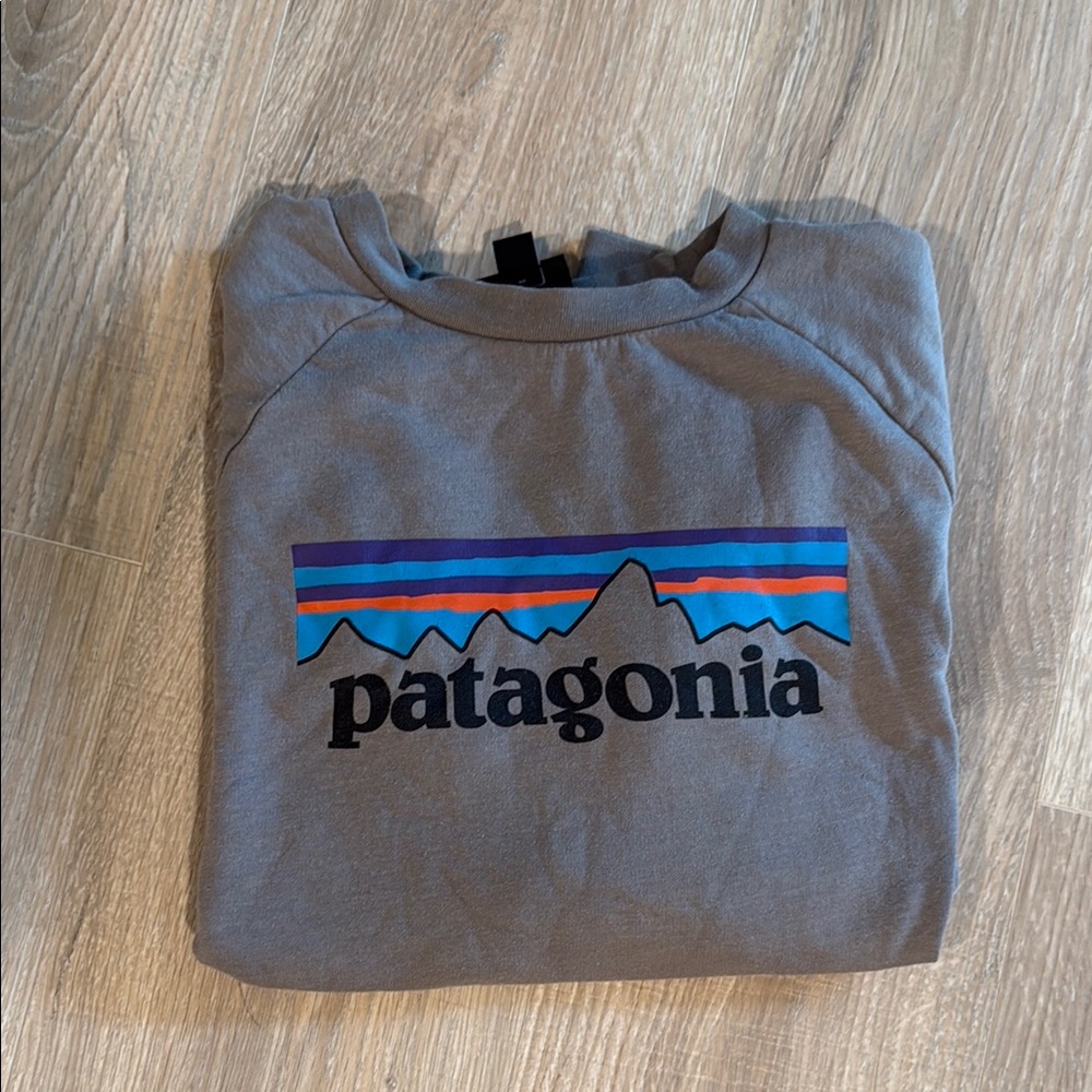 Patagonia Gray Crewneck Sweater with Iconic Logo